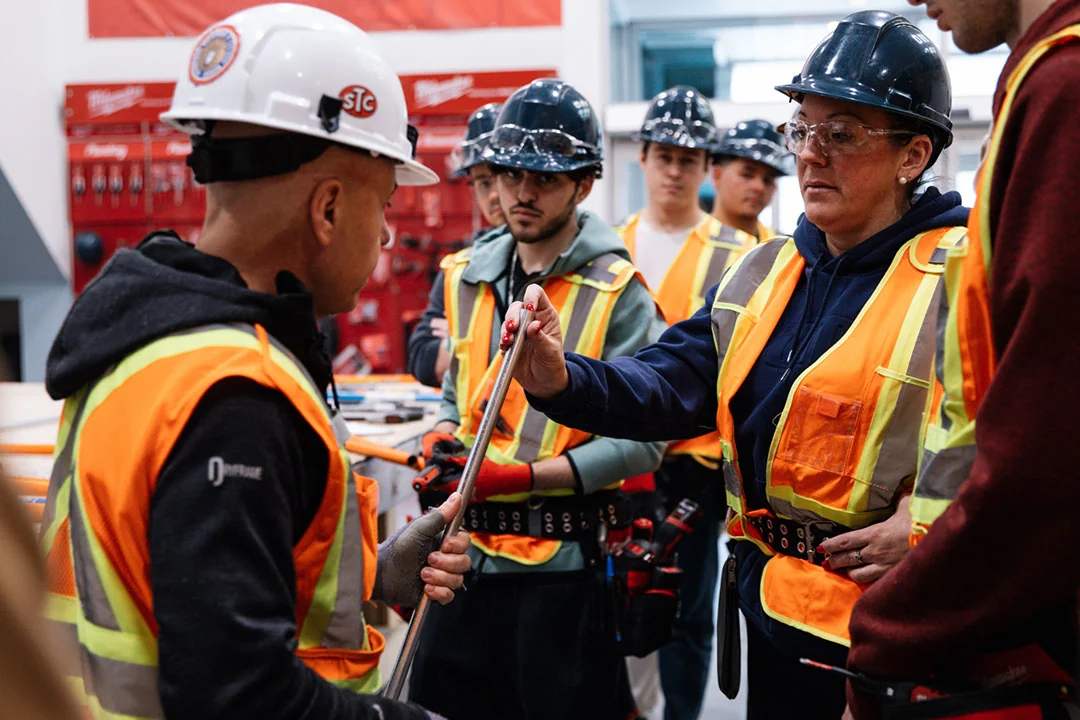manage occupational licenses and renewals